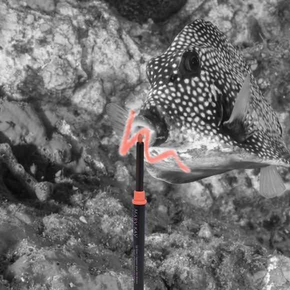 Coral Lip Liner - Mary Kay - Recently Discontinued - Picture 3 of 6